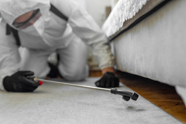 Professional Termite Control technician working in Great Falls, MT