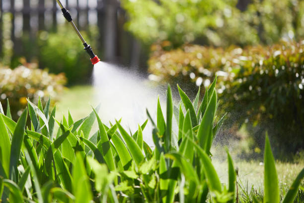 24/7 Emergency Termite Control experts in Great Falls, MT